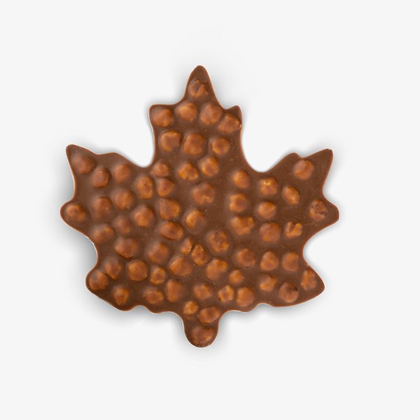FrischSchoggi Leaf Hazelnut Milk